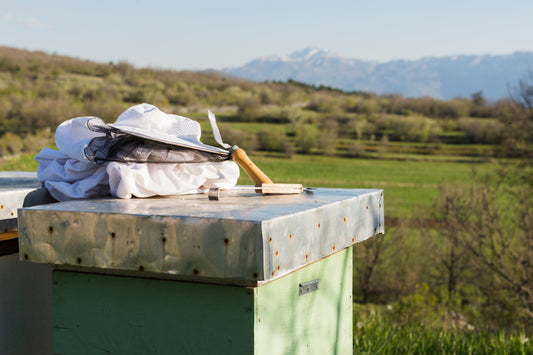 Bee Boxes vs Tree Hives: Why Modern Beekeeping Needs Structure, Not Shortcuts - Forester Farms