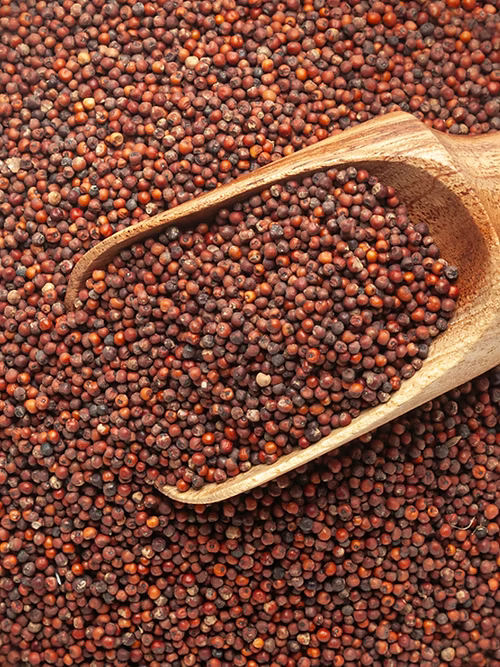 Ragi (Finger Millet)