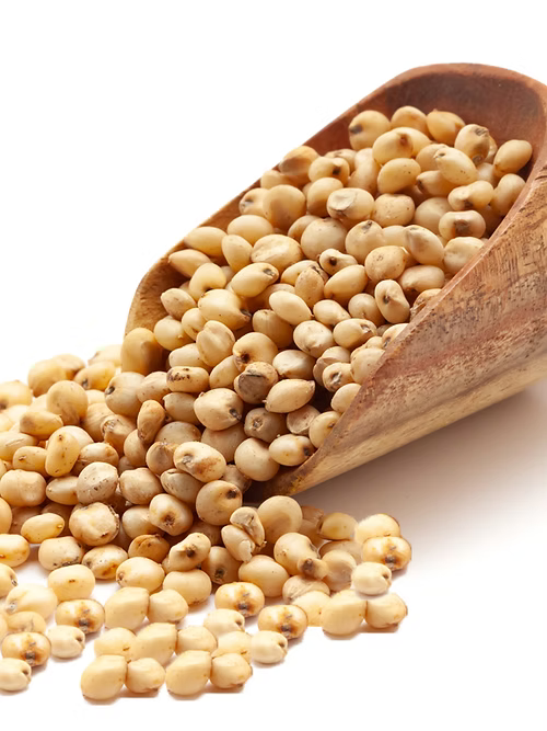 Jowar (Sorghum)