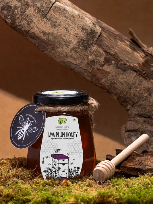 Java Plum Honey - Apis Mellifera