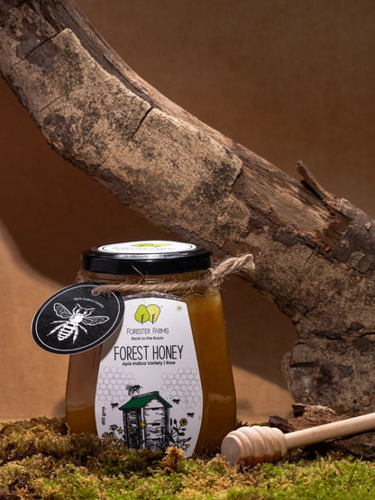 Forest Honey - Apis Indica__Honey